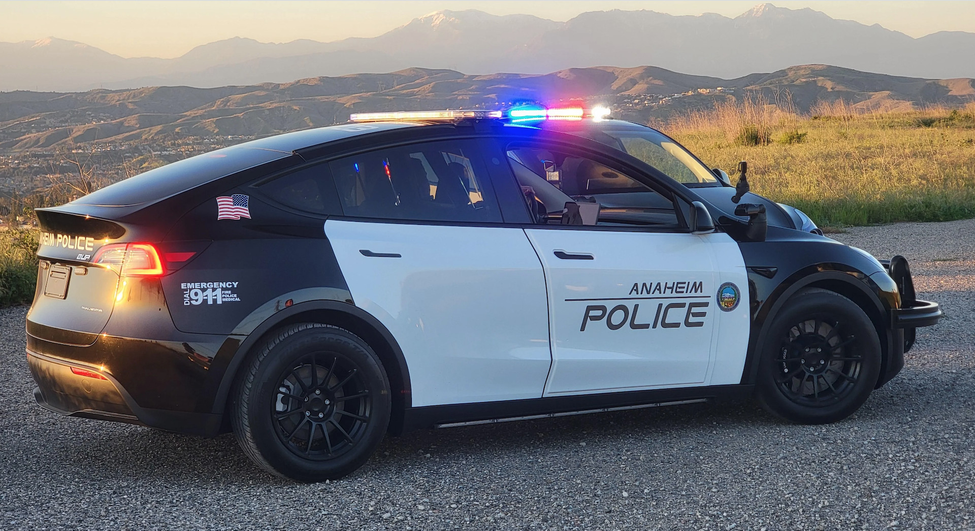 Tesla's move to upfit its vehicles for patrol duty is driving progress toward a cleaner and safer future for our communities.