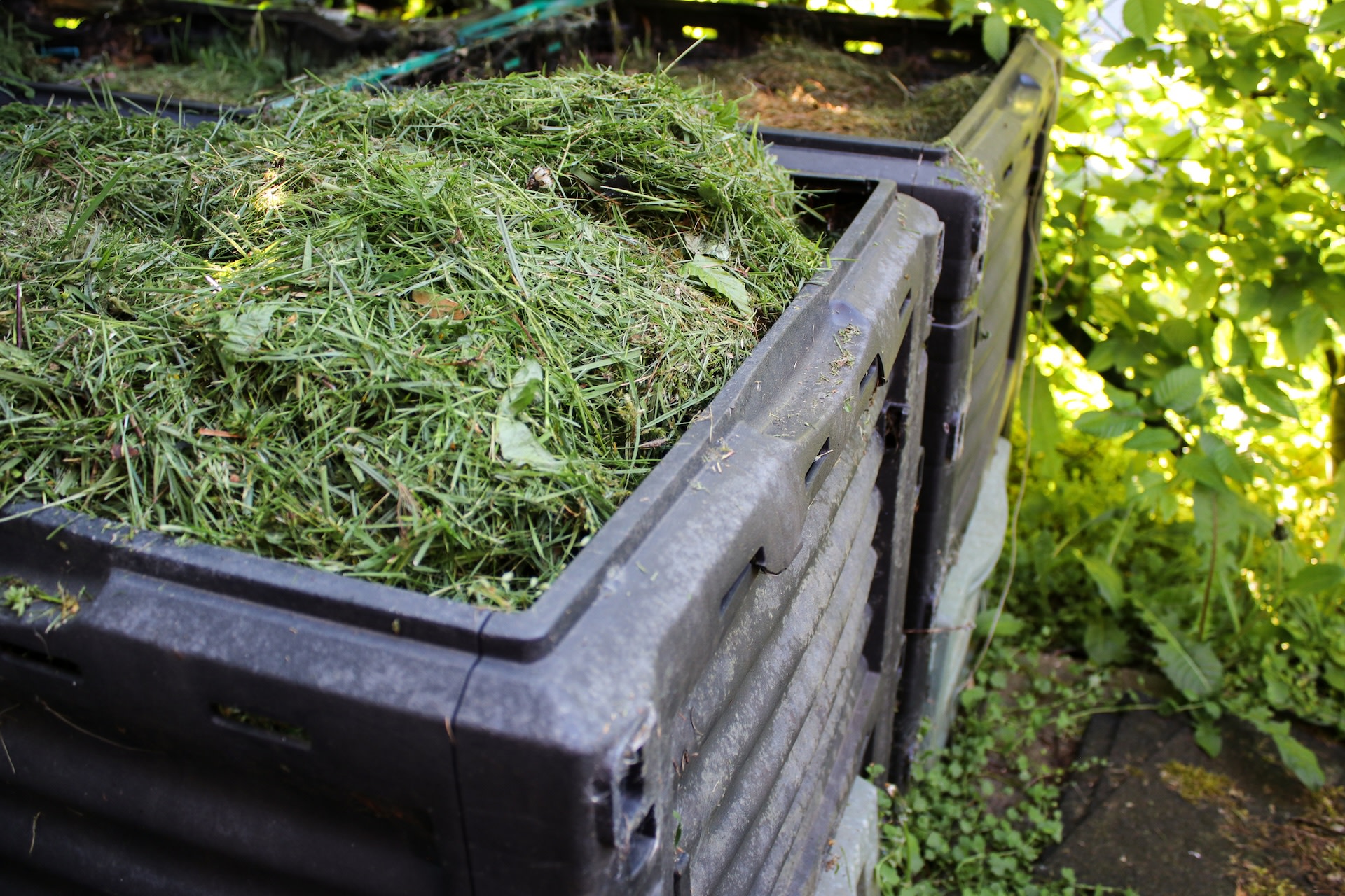 Gardener seeks advice after sharing photo of mistake made in compost pile: 'I'm pretty new at this whole thing'