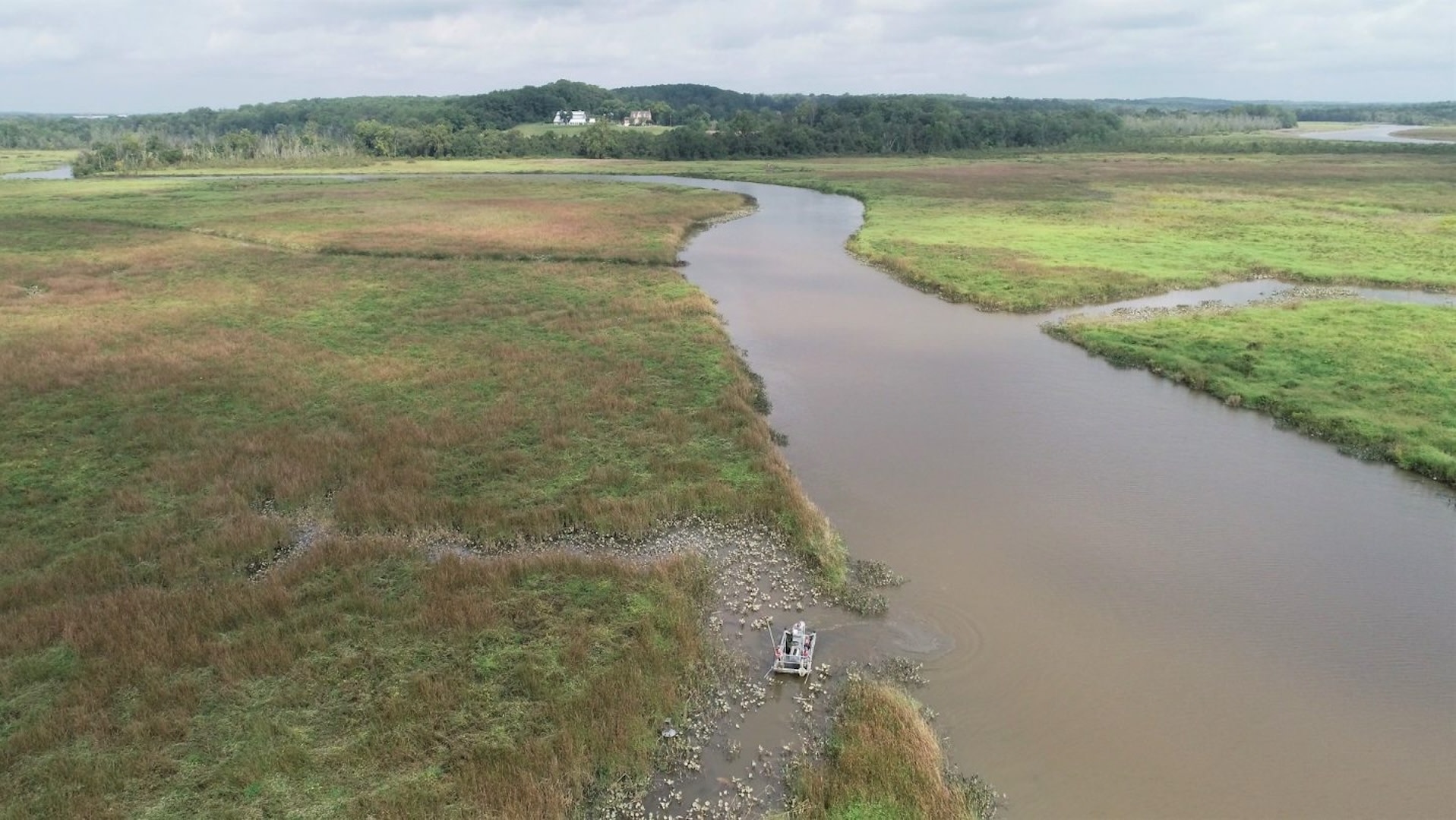 Conservationists sound alarm over concerning trend in Maryland wetlands: 'It's more critical than ever'