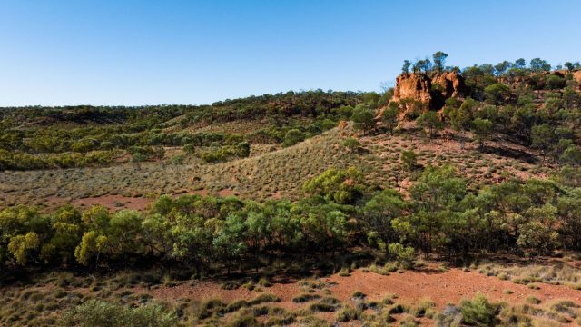 Before the land is fully converted, the former landowner will be given two years to remove his cattle from the property.