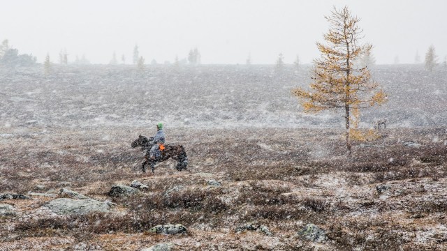 "It might take between five and 10 years to restore their livestock."