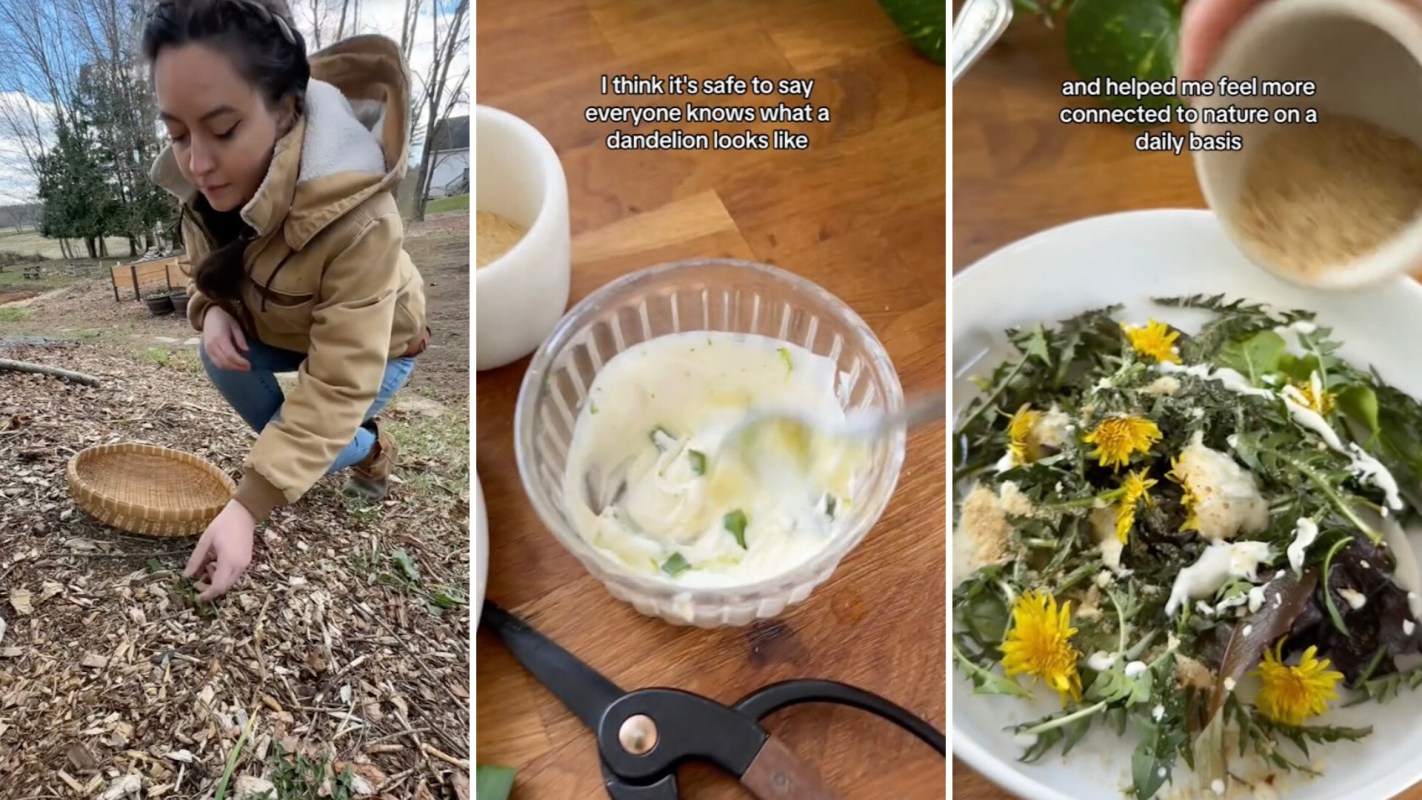 "Foraging has opened up a whole new world of possibilities."