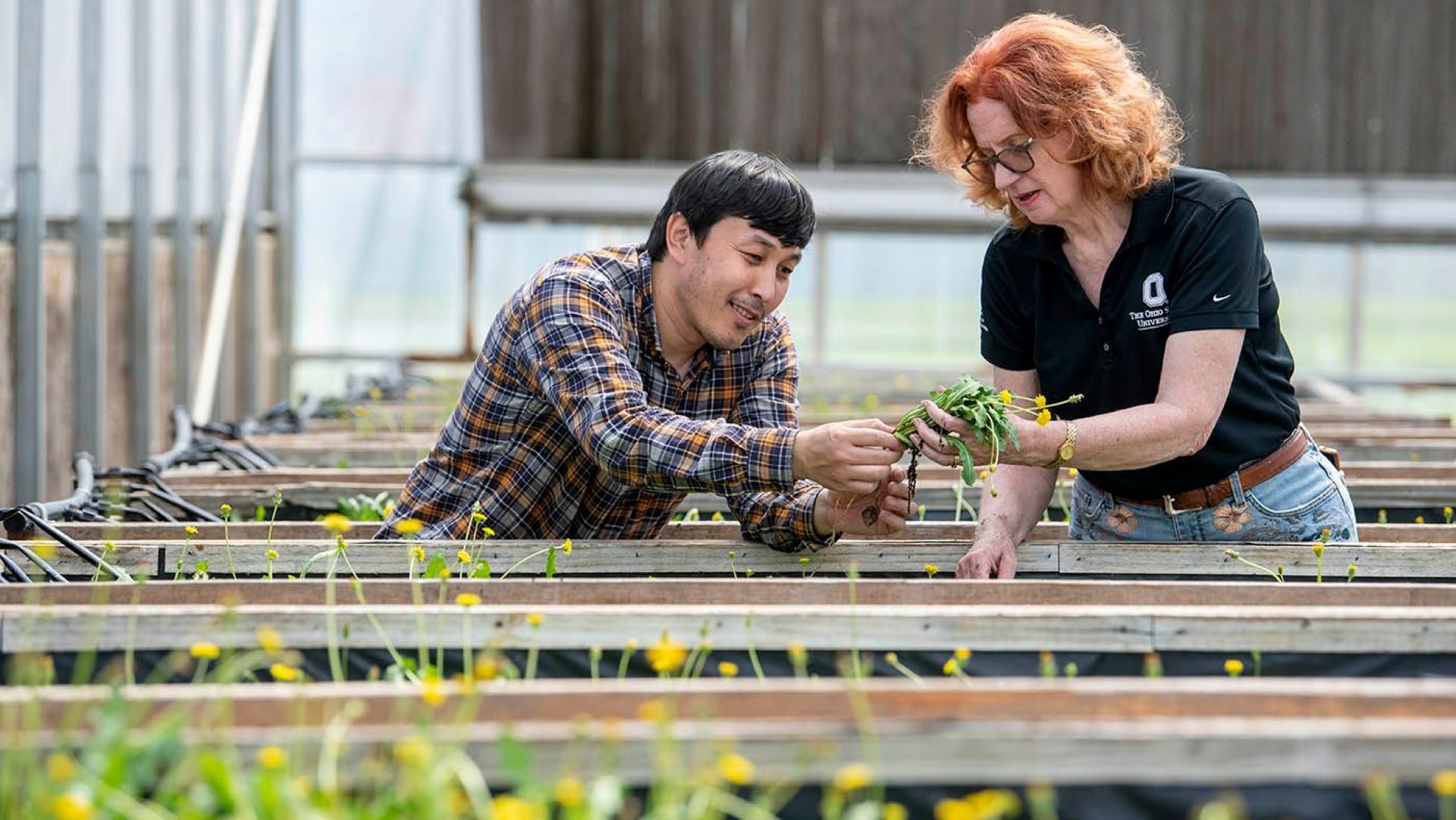 "There's plenty of farmers wanting to farm it, and plenty of manufacturers will buy it."