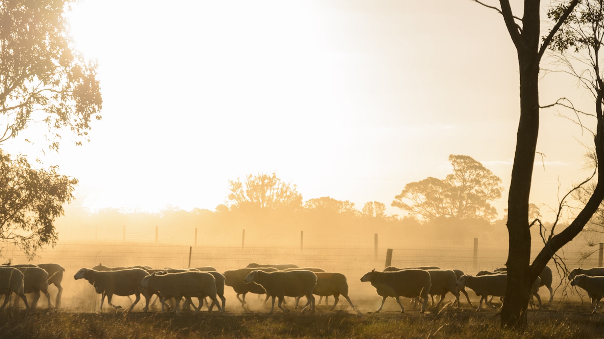 "We're going to have a smaller footprint for agriculture production if things keep going as predicted."