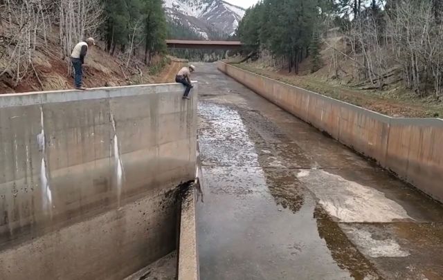 This incredible rescue showcases the dedication and ingenuity of our wildlife officials.