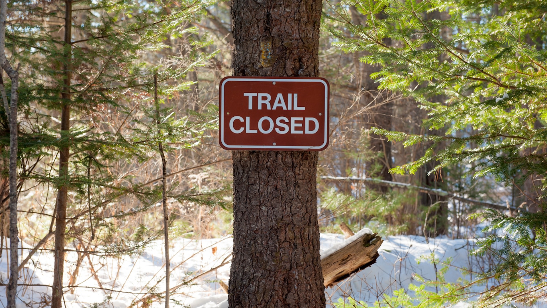 "I was amazed by the number of people who ignored the signs."