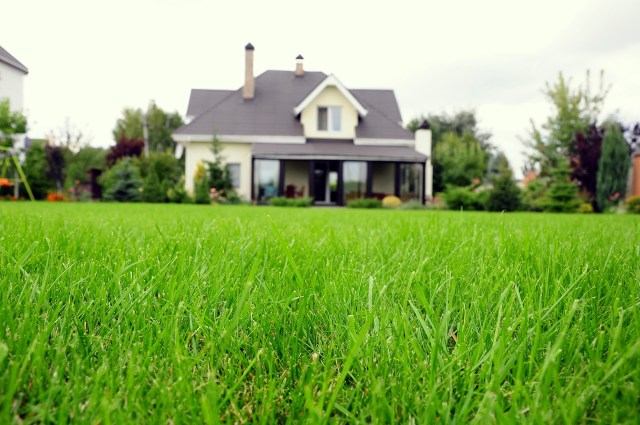 "They now have tons of biodiversity that visit their yard."