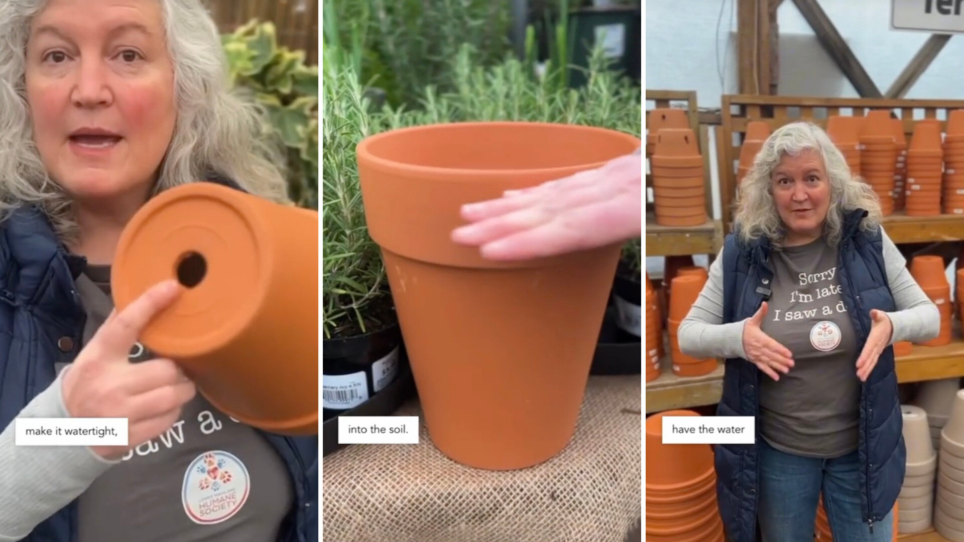 Plant expert demonstrates ancient gardening method to keep plants hydrated: 'A time-tested watering solution'