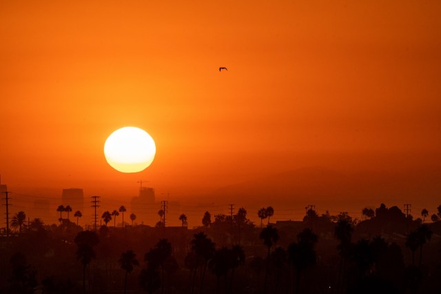 The oppressive heat caused blackouts that lasted several hours in some cases.