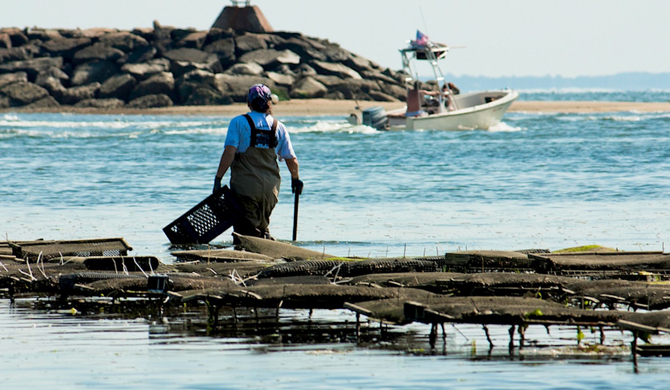 This is just one of several recent wins for the Chesapeake Bay Program.