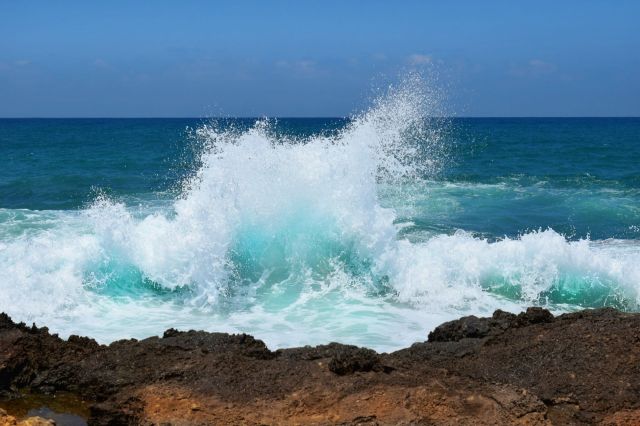 The findings underscore that these "forever chemicals" don't just disappear once they enter the ocean.