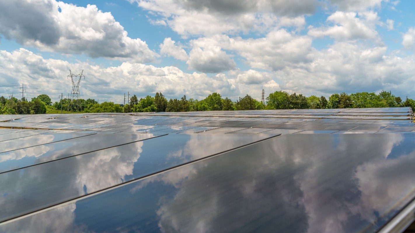 REI and Intuit join forces to launch massive solar farm: 'We're proud to help usher in new-to-the-world solar energy'