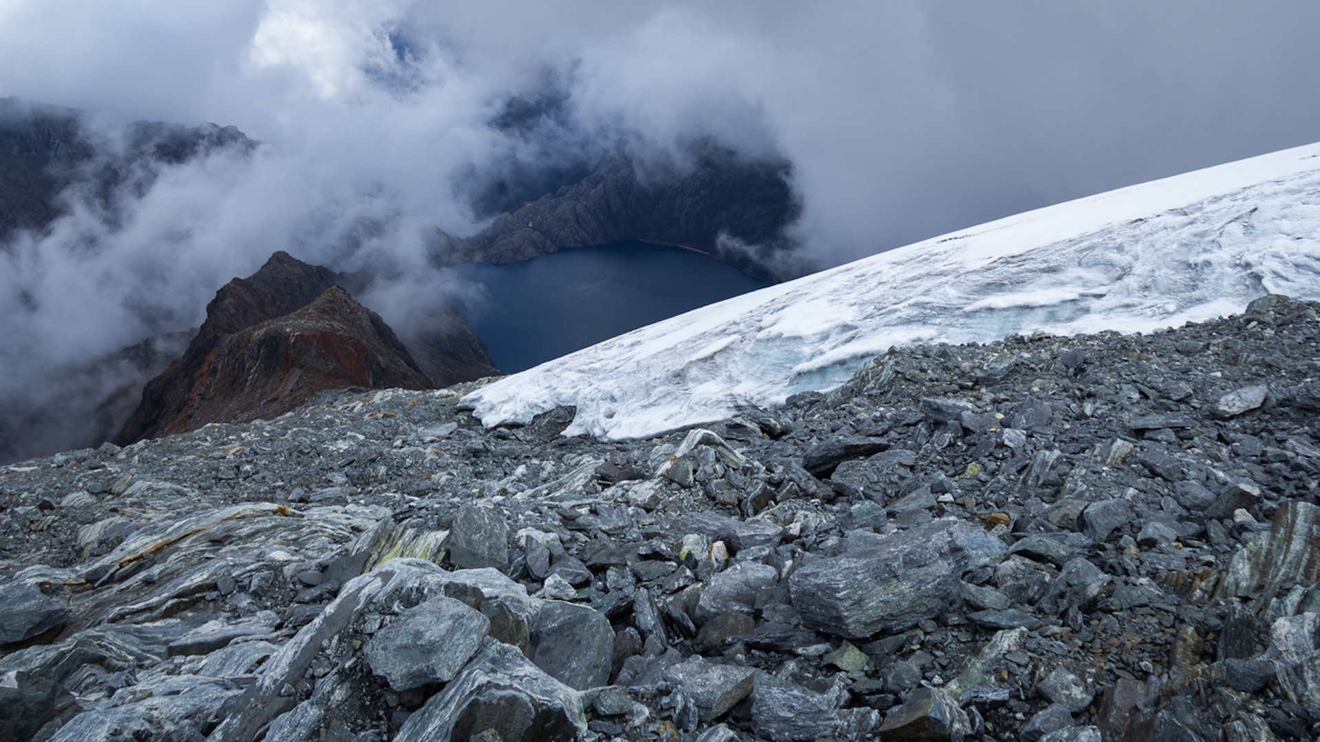 Their loss is a poignant reminder of how rising global temperatures are disrupting the fabric of life on Earth.