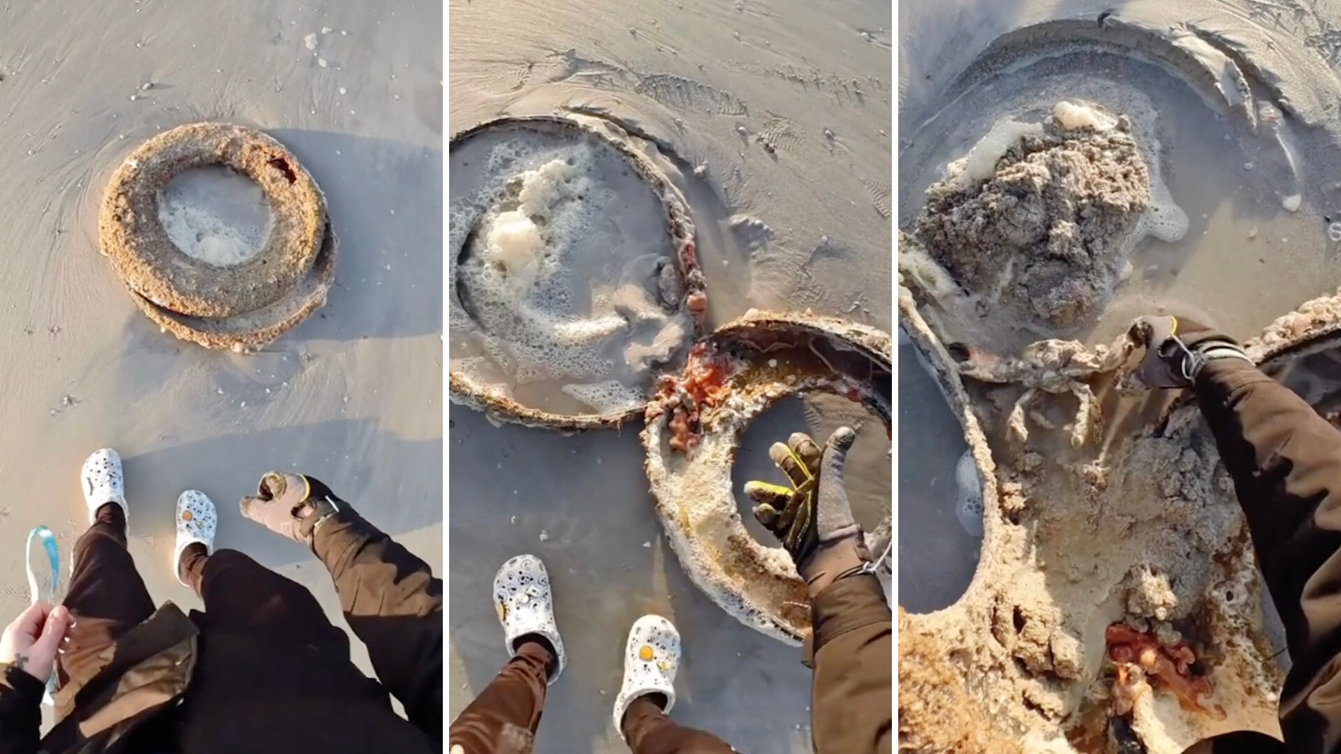 Beachgoer makes surprising discovery inside old tire during trash cleanup: 'I'm glad you were able to help'