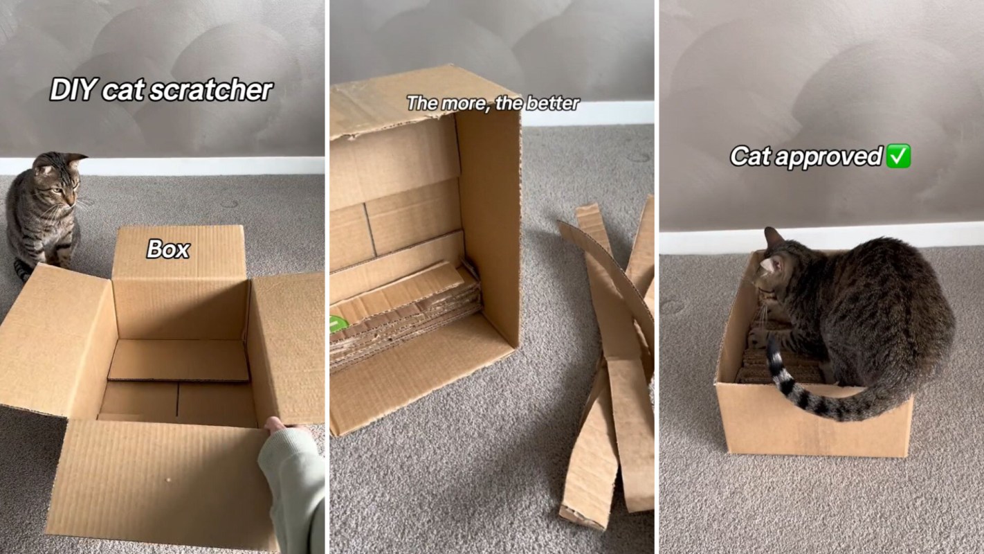"It's a great reuse for boxes!"