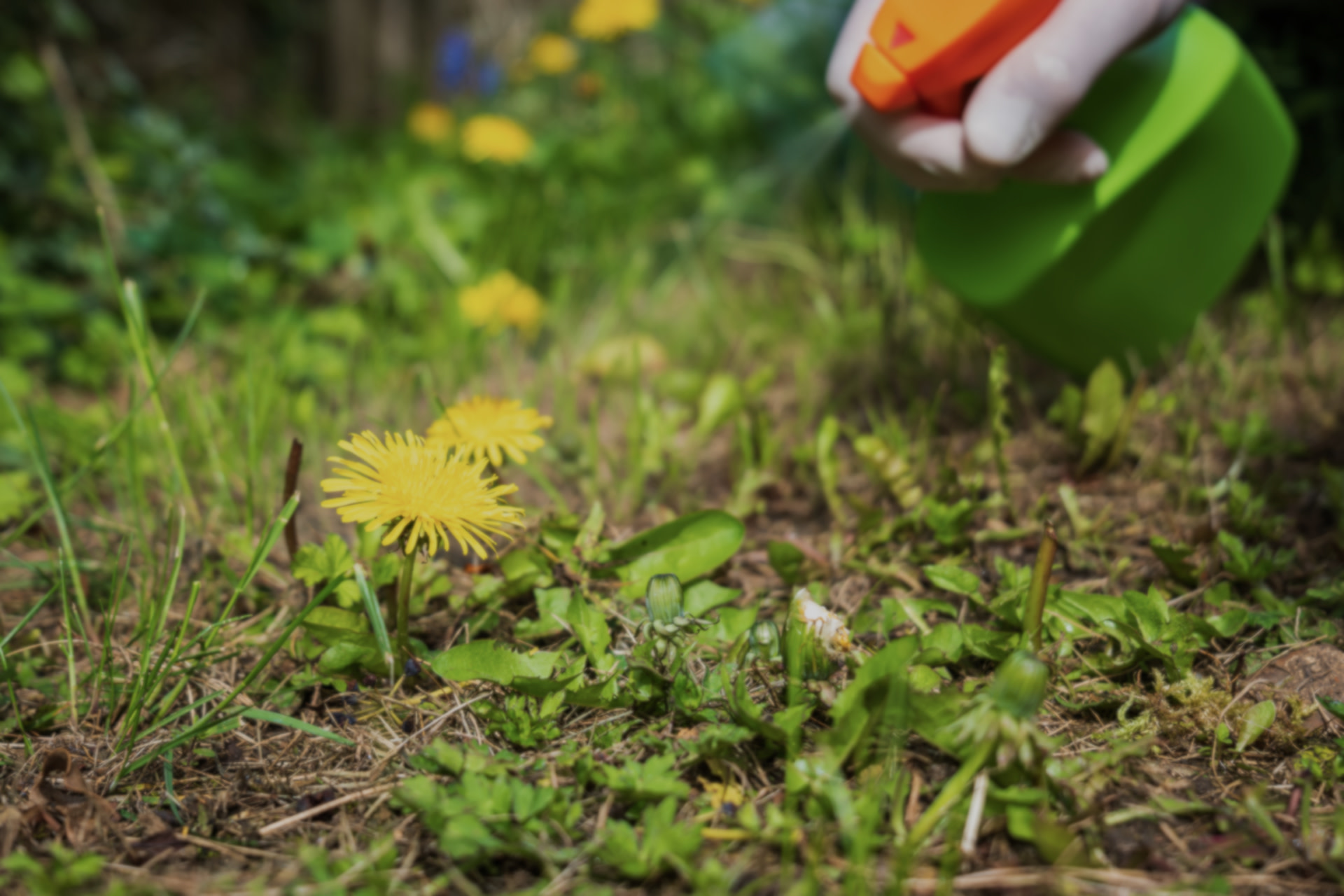 homeowner-anxiously-regrets-yard-maintenance-mistake-after-attempting