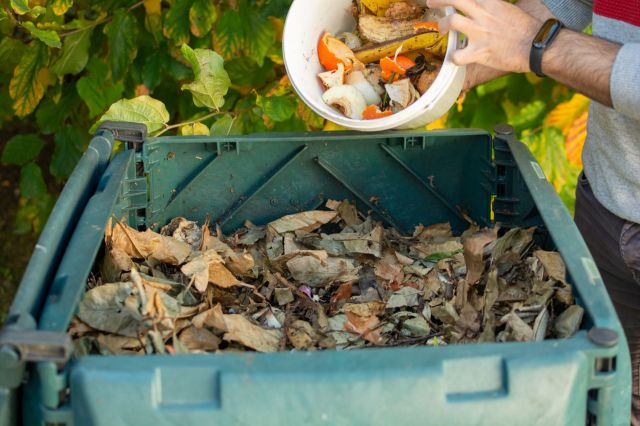 "I feel upset at the thought of throwing away the entire 4-5 barrows of compost I have been building up for four years!"