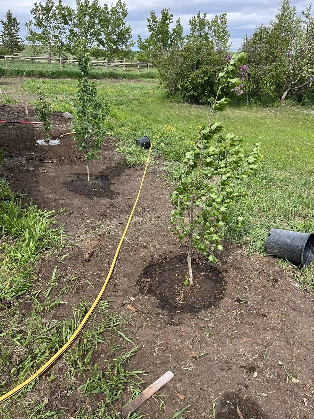 By avoiding this controversial material, which often does more harm than good, this gardener can save a lot of time fixing the problem in the future.