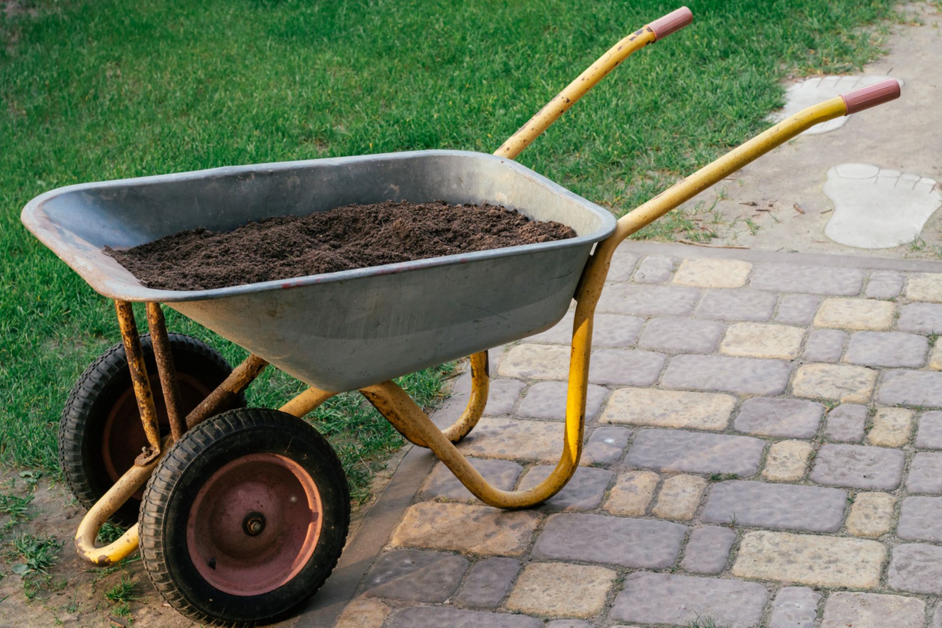 "Gardening is a never-ending experiment. Keep at it!"