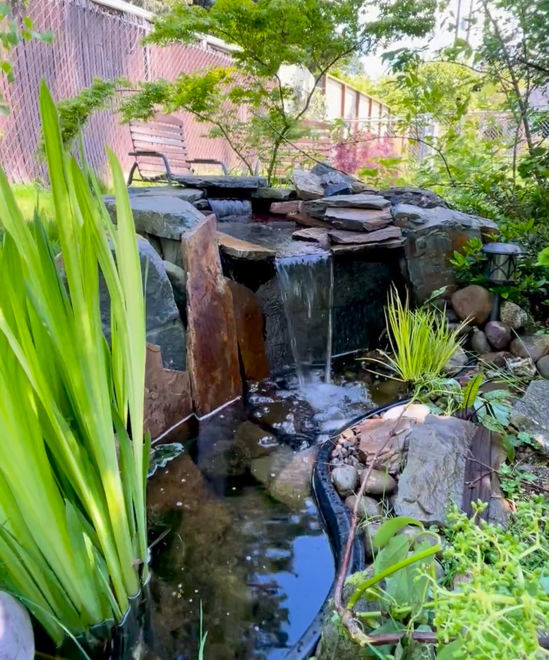 Gardener shares stunning footage of pandemic garden project that created backyard oasis: ‘Looks amazing’