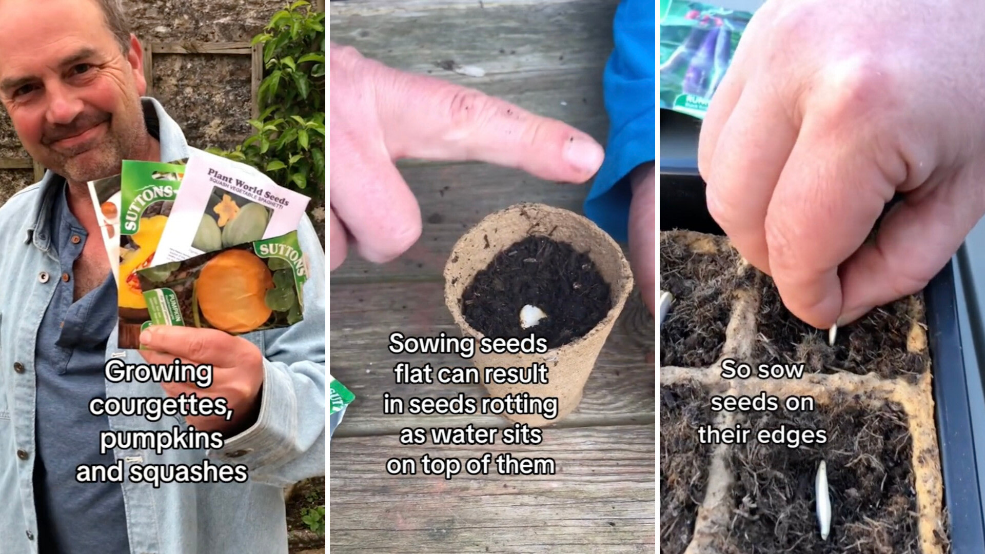 Garden expert shares planting method to avoid to protect 
seedlings from root rot: 'I did not know that'