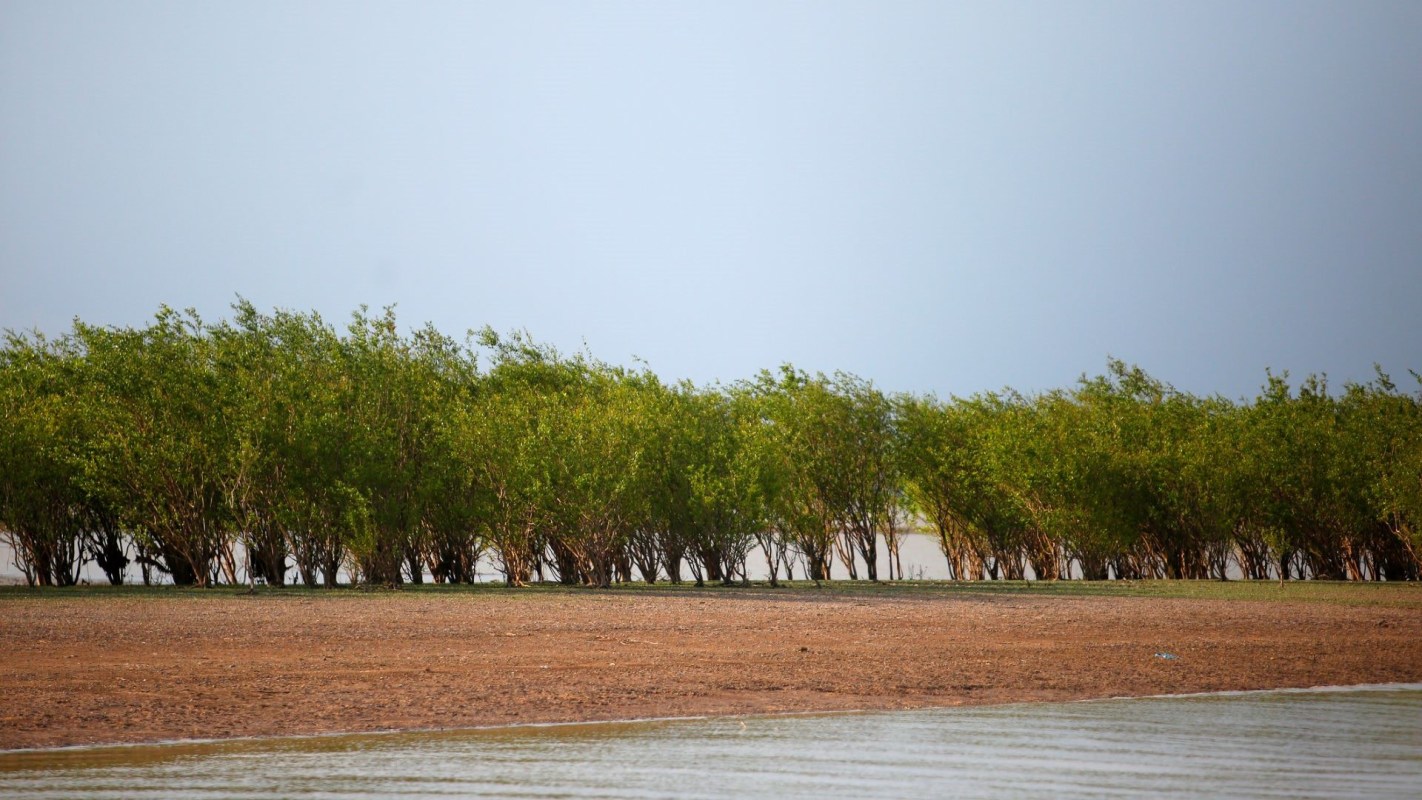 The problem is worst in the heavily deforested southeastern Amazon.