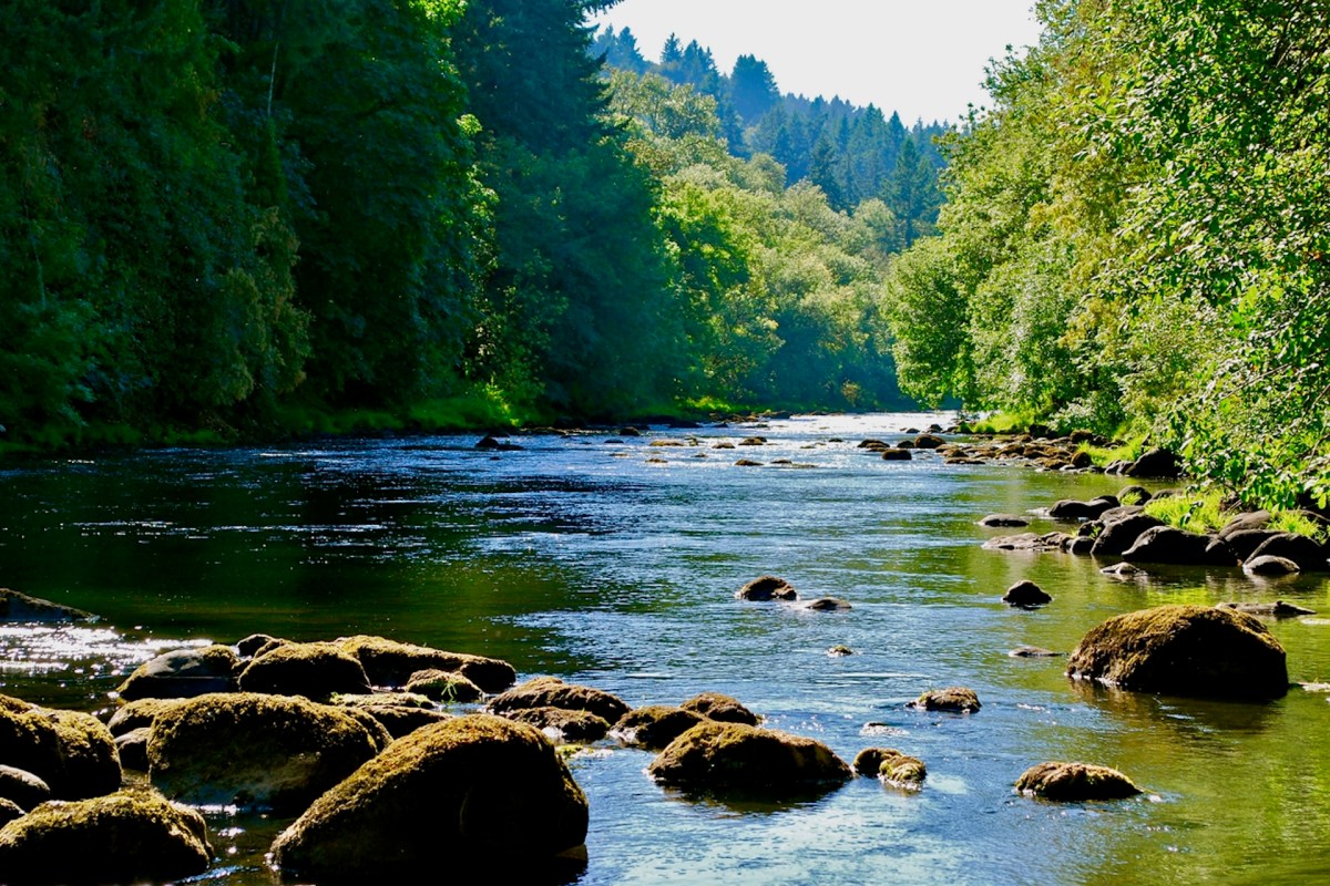 One of the projects will support efforts in the North Fork Walla Walla River.