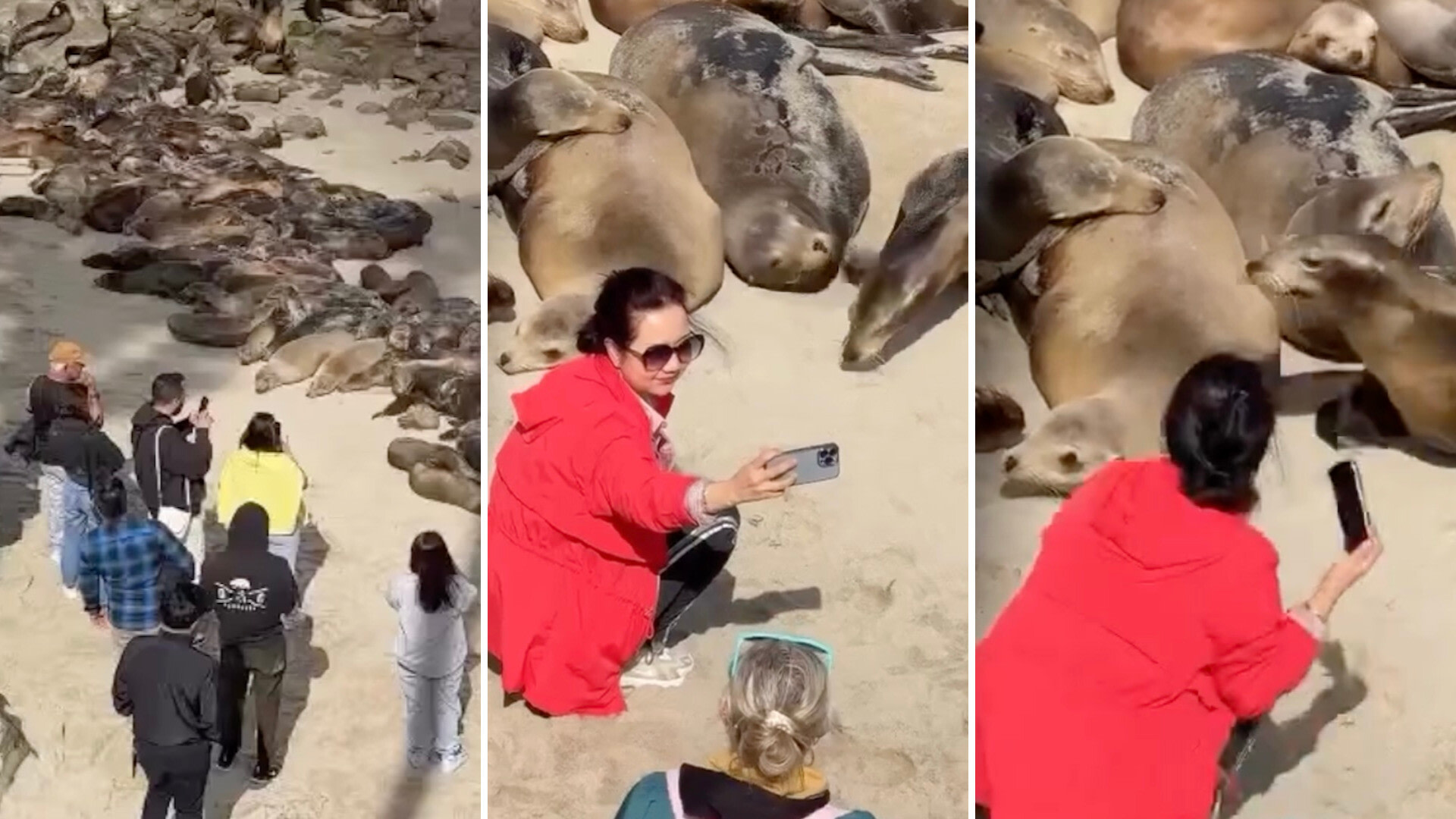 Bystander holds breath while capturing video of entitled tourists