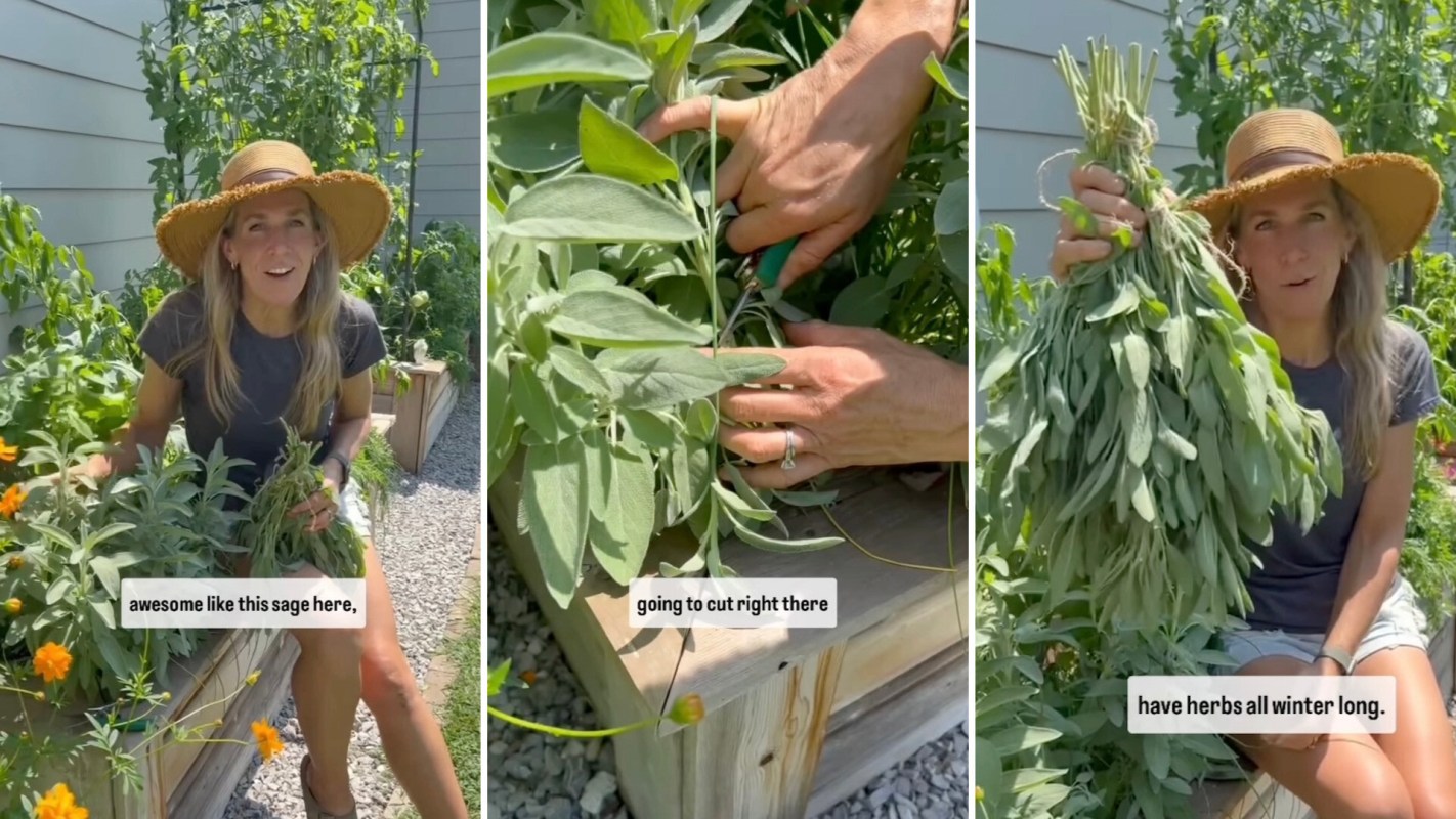 This hack will ensure you get the most out of your plants and help eliminate food waste and the need to buy herbs from the store, which saves you money.