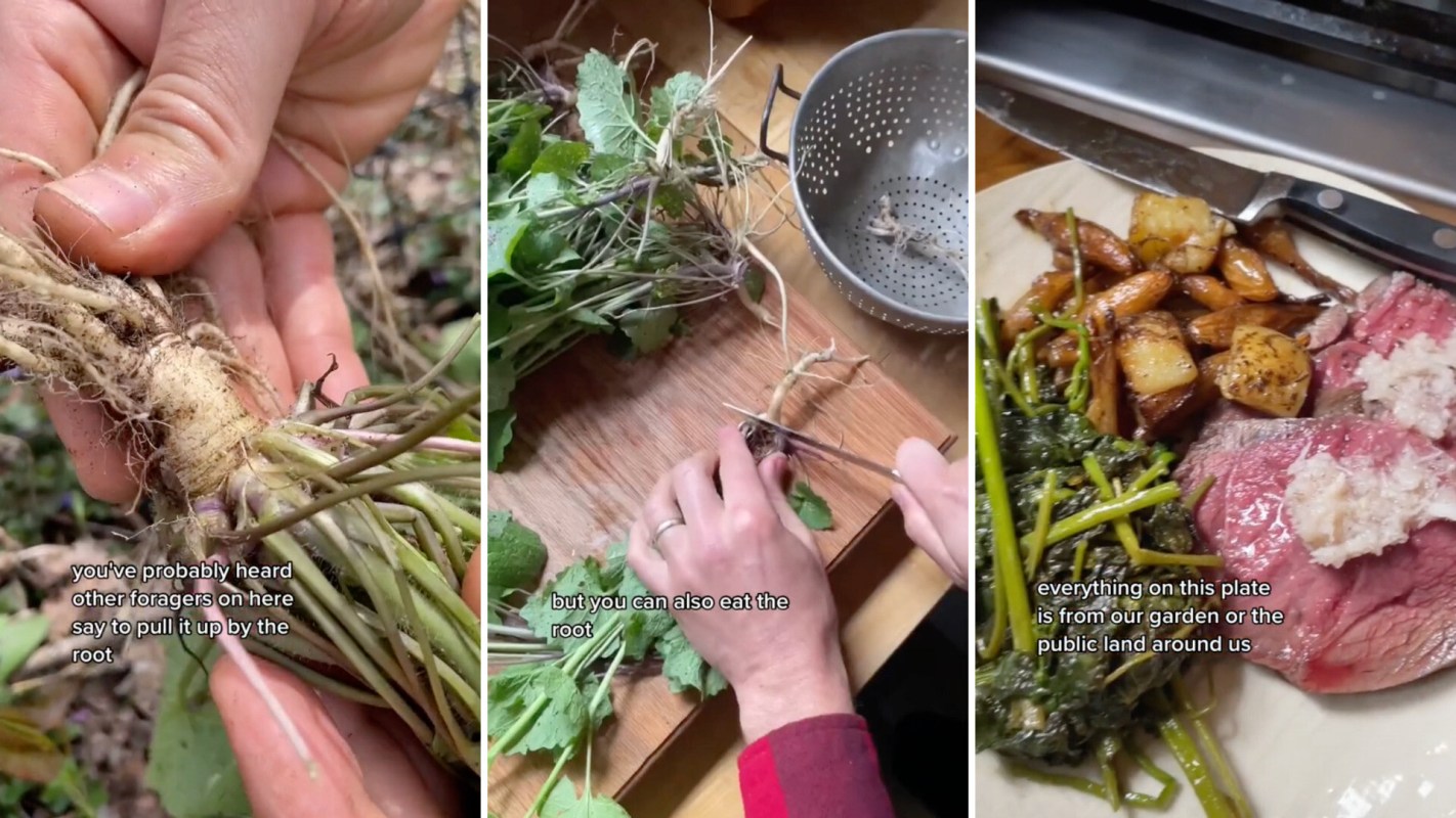 Homesteaders turn extremely invasive plants into delicious dinner: 'This meal could easily be served at a fancy restaurant'