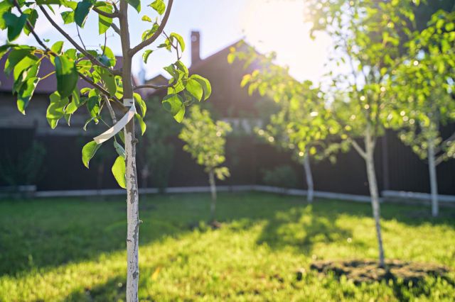 By avoiding this controversial material, which often does more harm than good, this gardener can save a lot of time fixing the problem in the future.