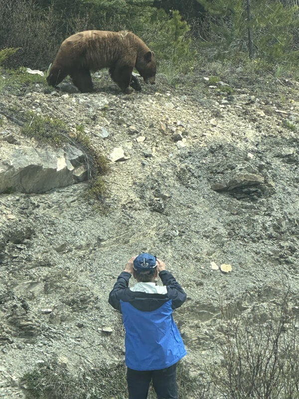 "I think I'm too close to this bear and I'm in another continent."