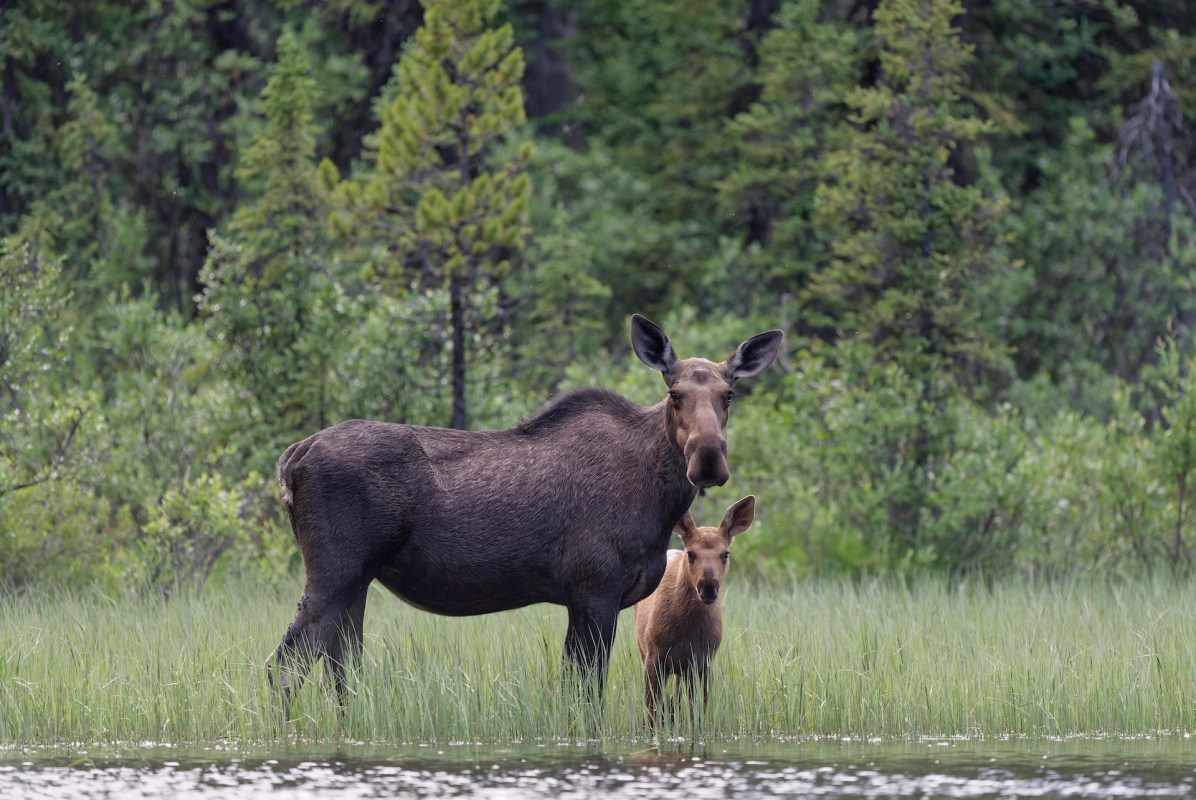 "This was a person who went out looking for a great photo, knowing the risks."