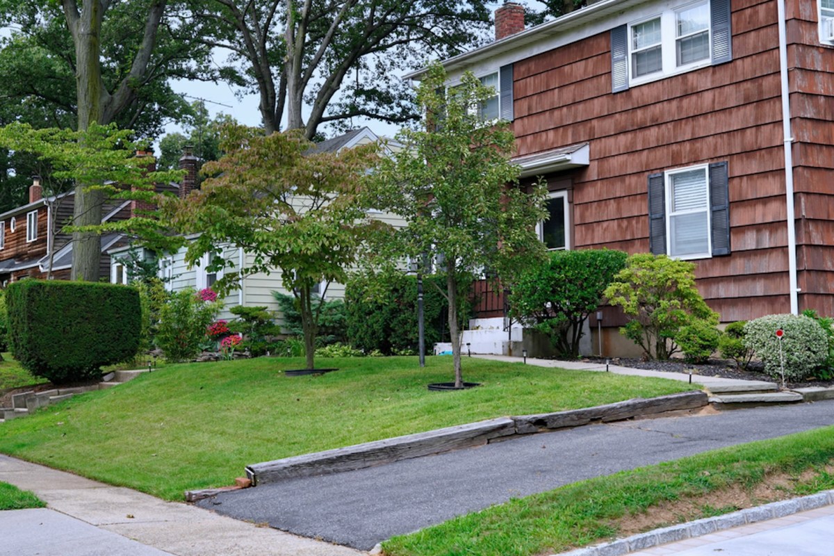 Homeowner shares breathtaking photos of yearslong garden project after ripping out grass lawn: 'This is amazing'