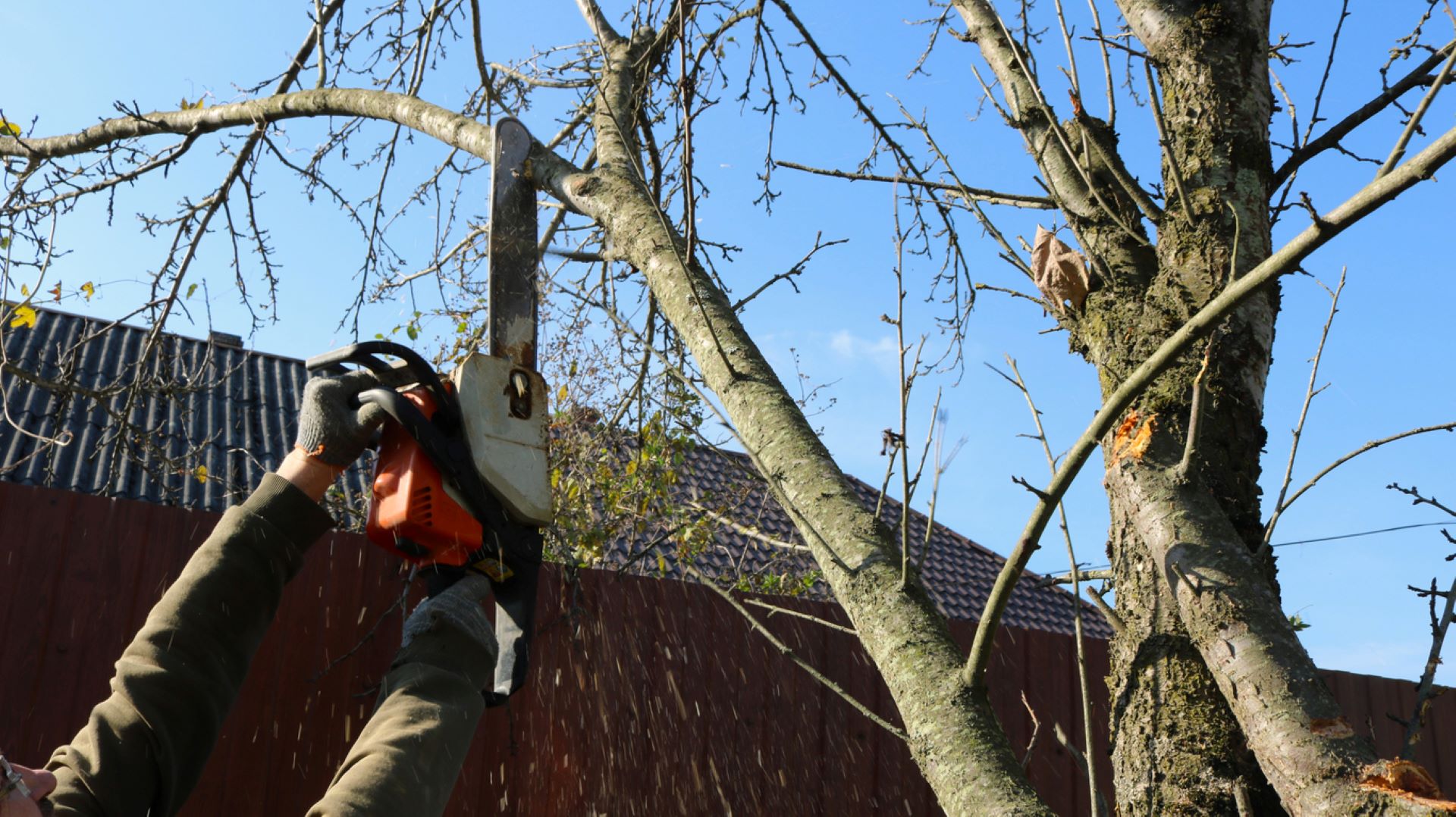 "Lumber theft is a big deal."