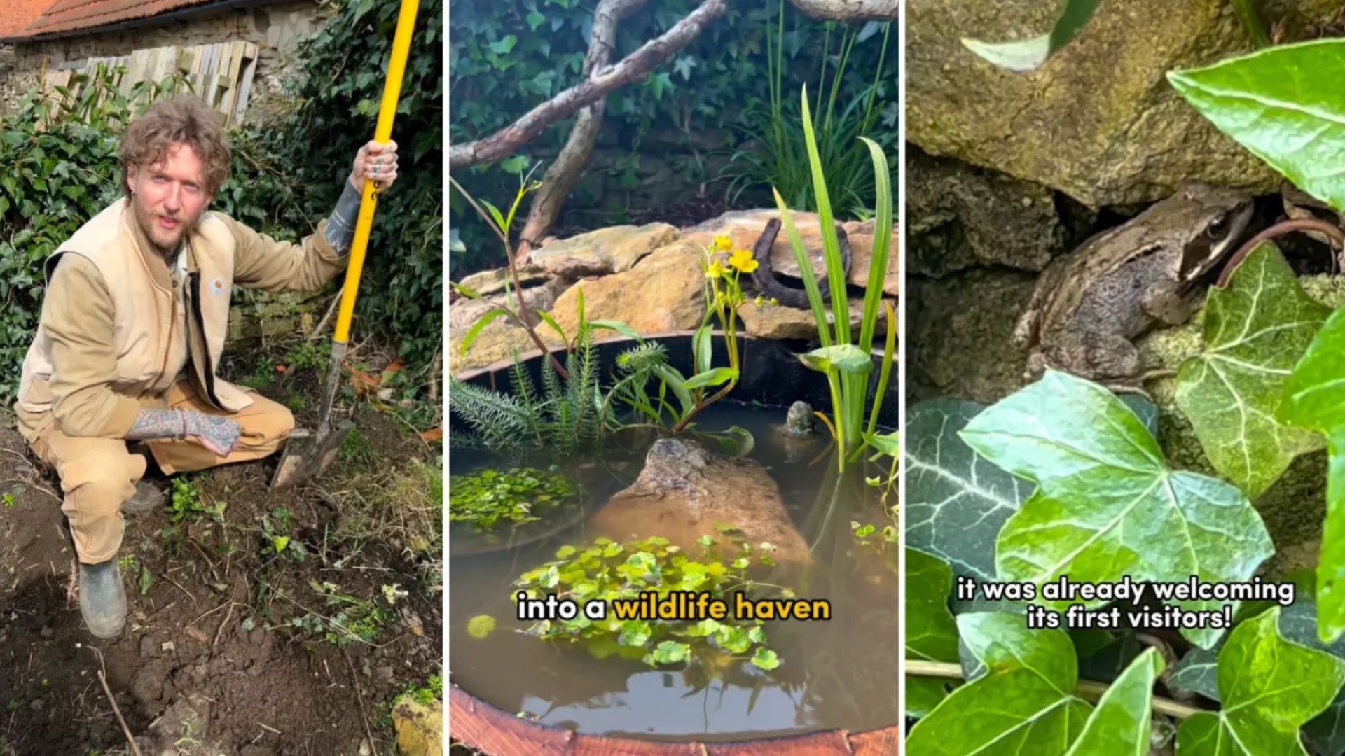 Gardener shares 'beautiful' transformation of yard from dumping ground into garden oasis: 'I want to create something like this in my garden'