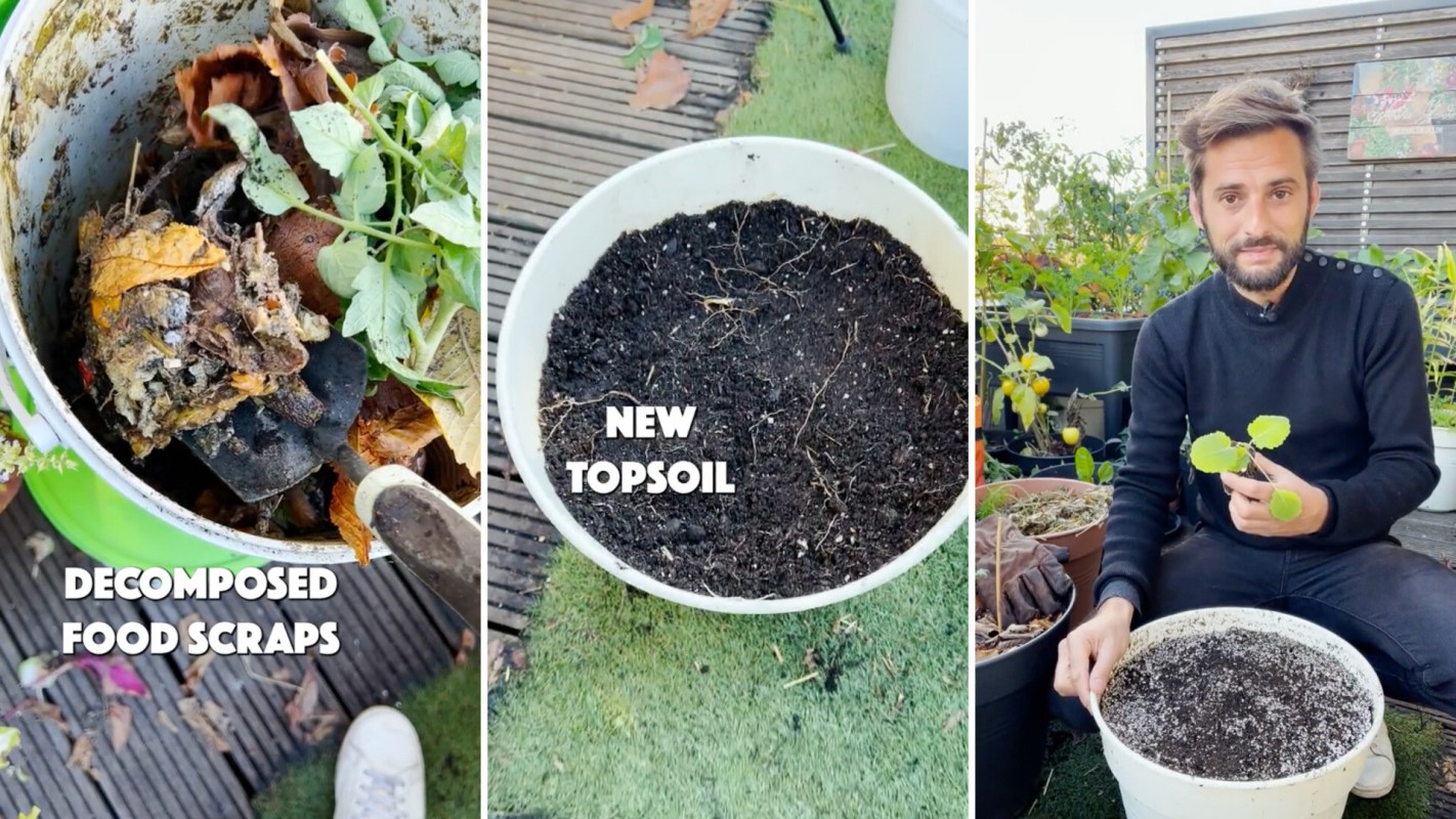 Gardening expert shares money-saving method to revive old soil: 'I am going to do this today'