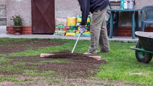 "As a very inexperienced gardener, I planted shrubs and plants in the beds when we moved in without doing anything to prepare the existing beds."