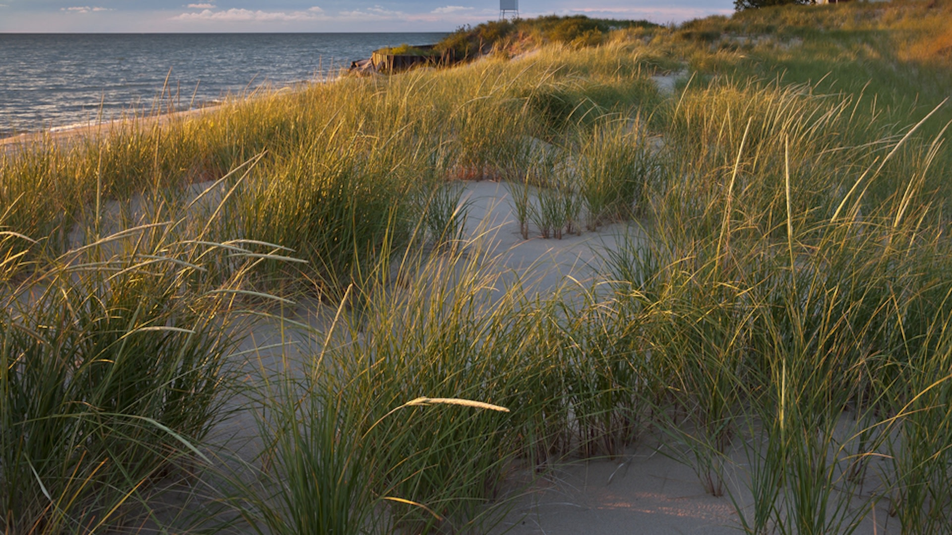 "Most beaches have huge fines for this."