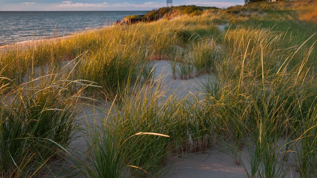 "Most beaches have huge fines for this."