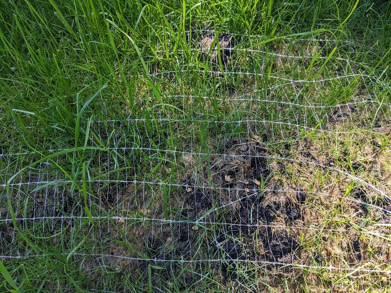 "A disaster for wildlife and the world in general."