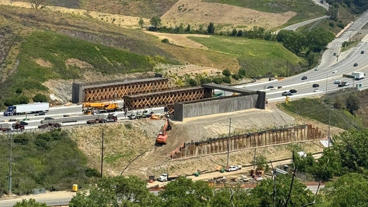 "This crossing will play such an important role in saving our mountain lion population."