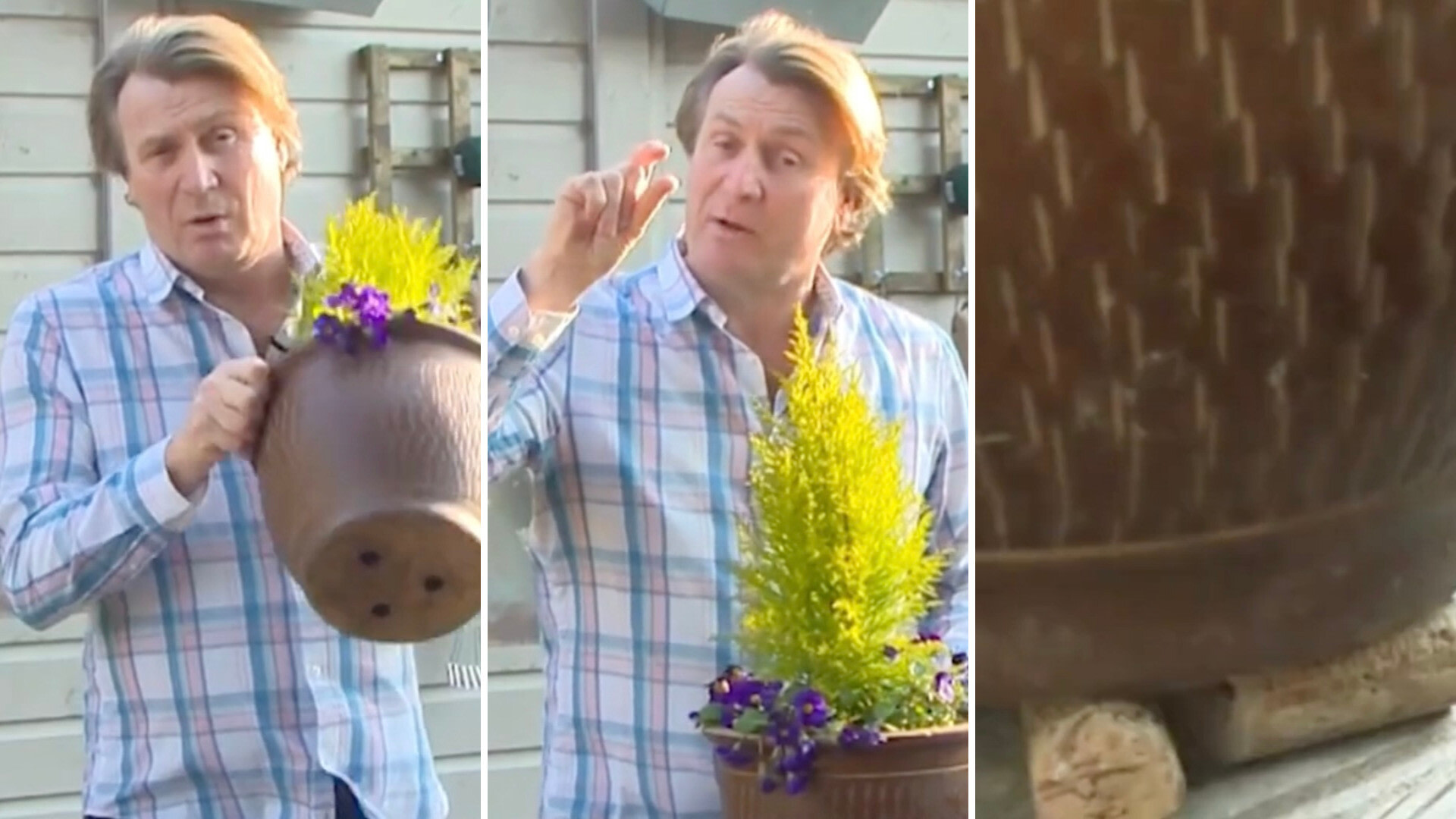 Gardener reveals quick watering hack using wine corks to help plants thrive: 'Best way to make good use of old corks'