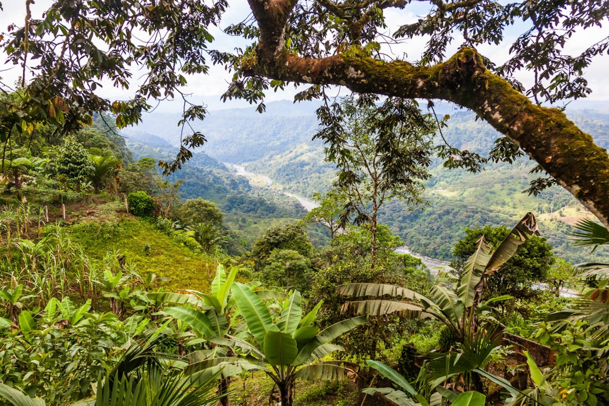 "A humbling reminder of how much we still have to learn and the numerous discoveries waiting to be made."