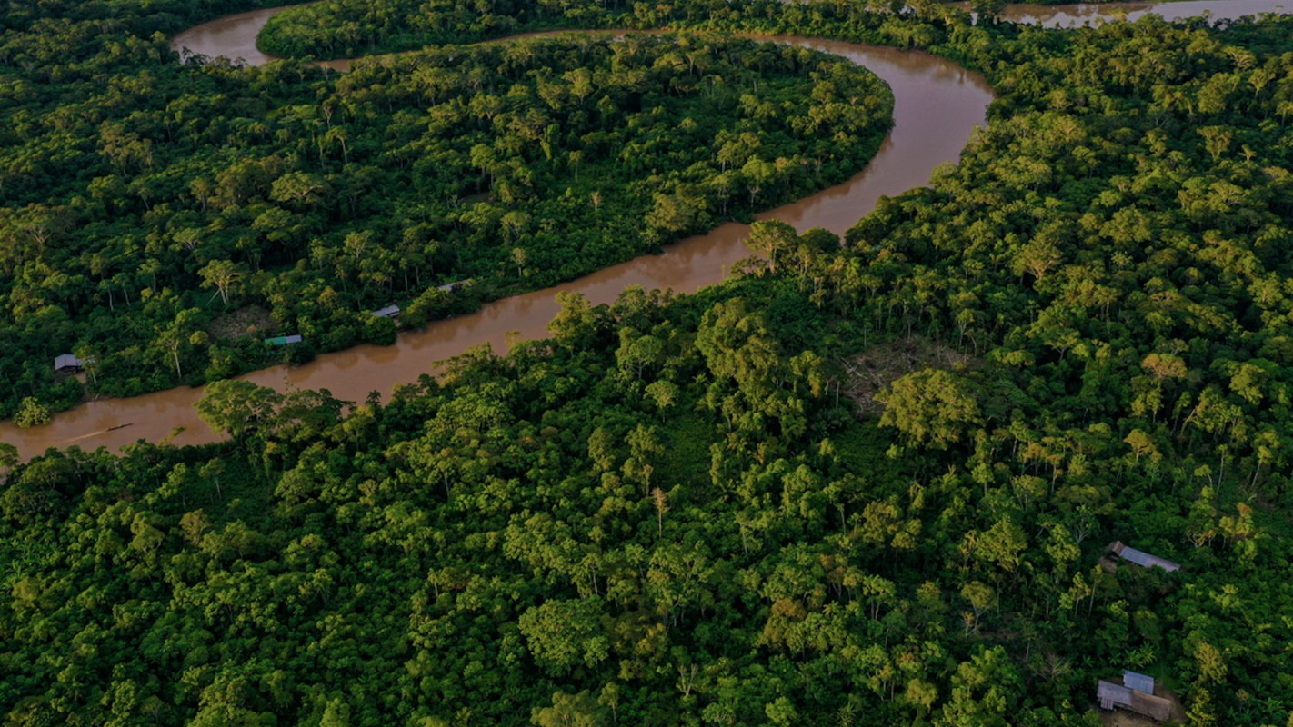 A study from 2021 found that deforestation had already made the Amazon produce more polluting gases than it could absorb.
