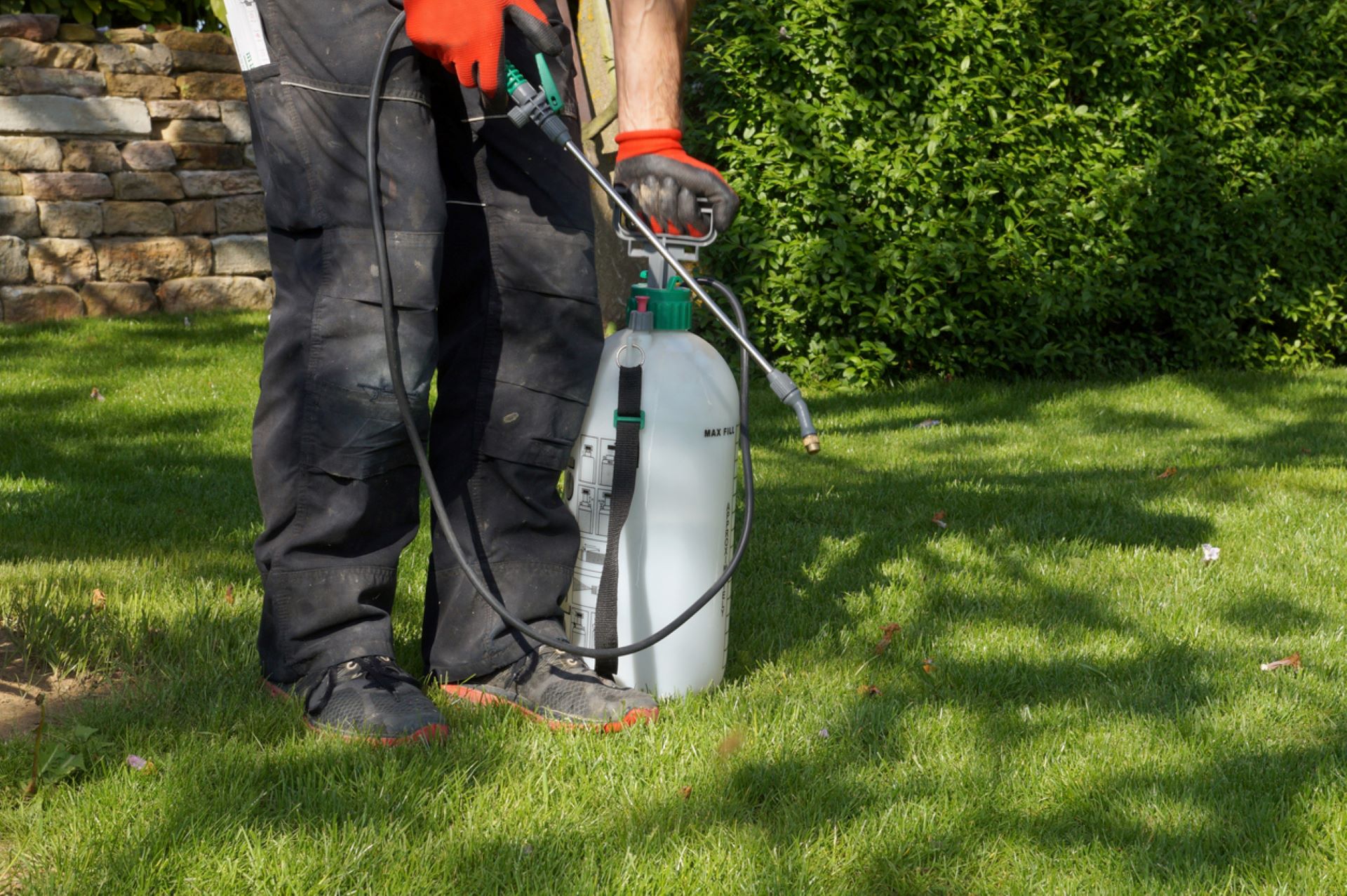 Homeowner perturbed after neighbor continuously uses dangerous landscaping product: 'It should be banned'