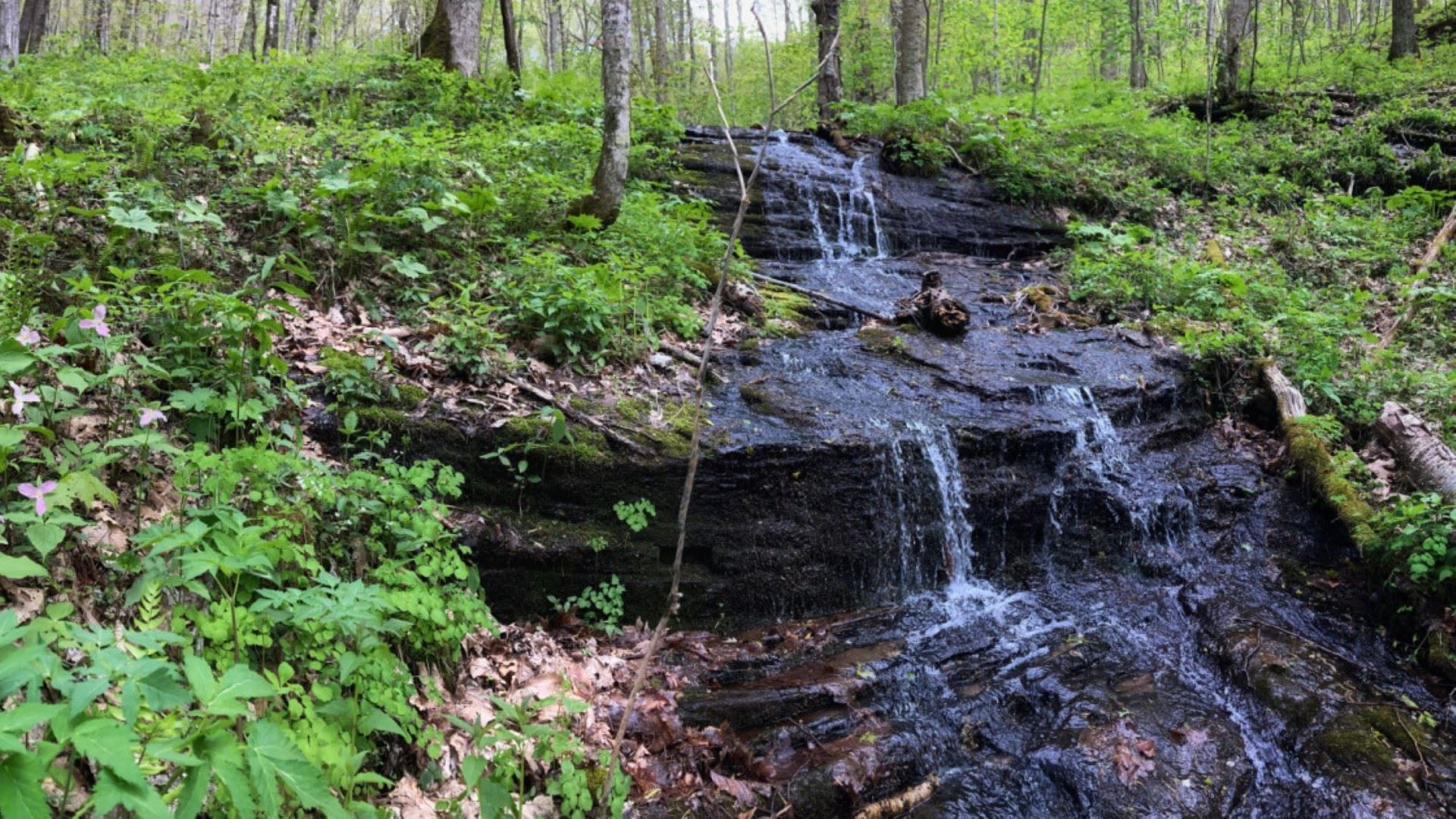 Conservation group celebrates new nature preserve made possible by ...