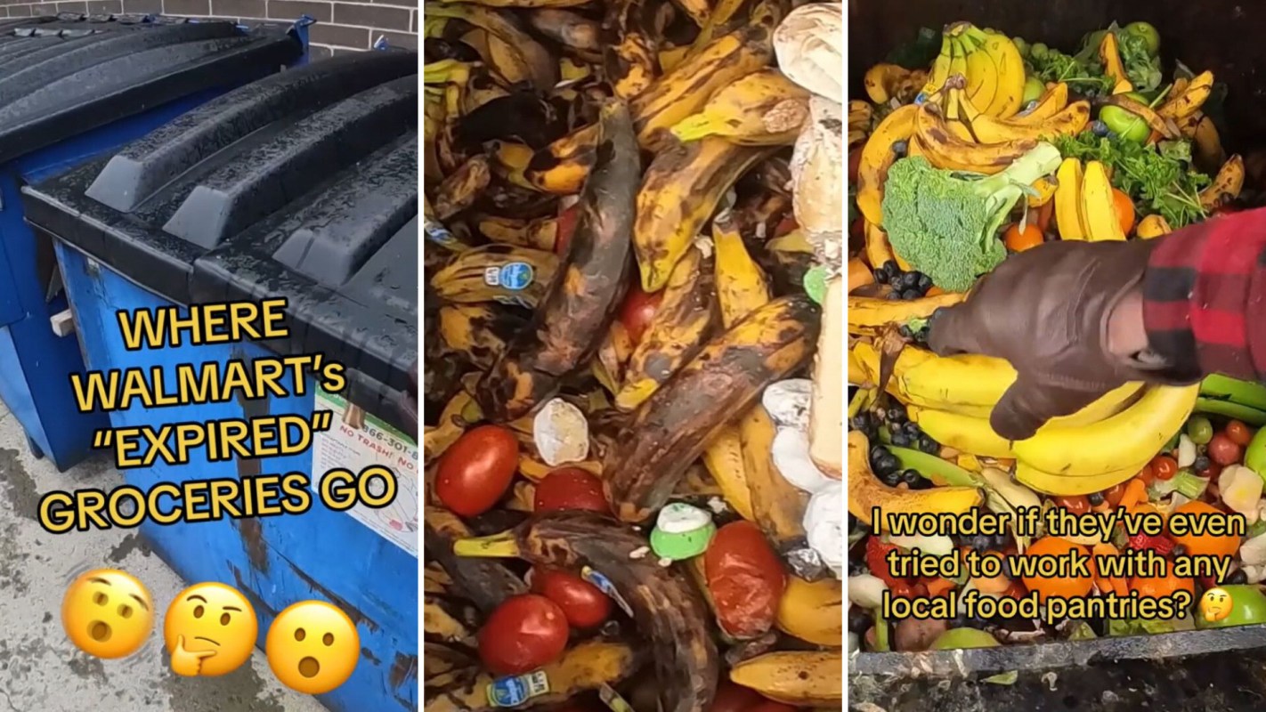 Conflicted dumpster diver sparks debate after sharing video of food in bins outside of Walmart: 'I'm sad and angry'