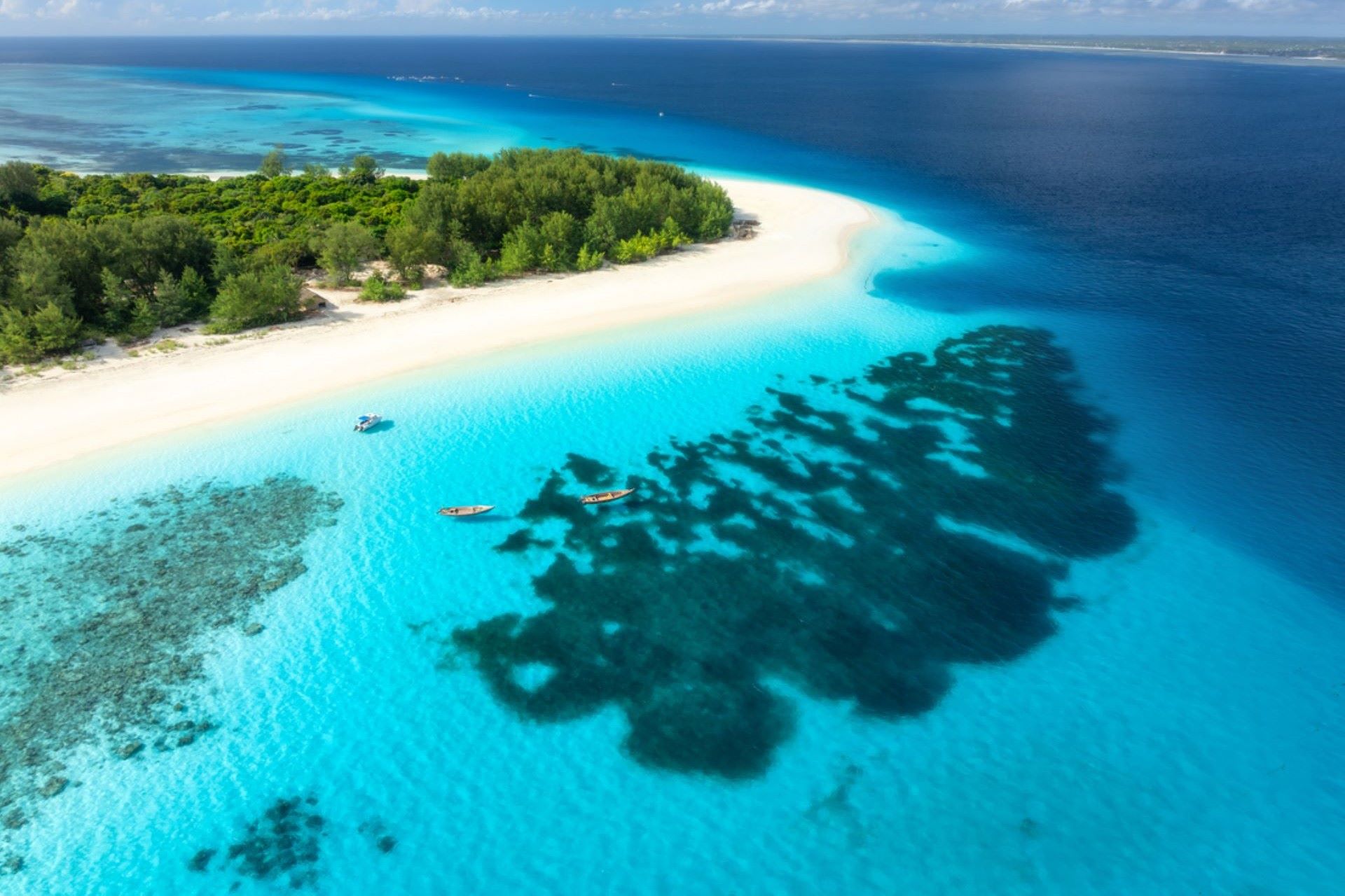 "The relationship between the sea and coral is crucial for ocean health."