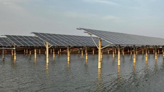 This solar-aquaculture integration demonstrates how solar panels can do more than just generate clean power.
